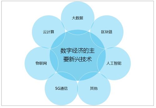 2021-2027年中国数字经济行业市场现状调查及投资战略咨询报告