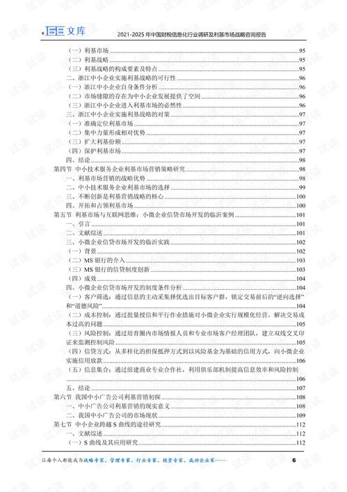 2021-2025年中国财税信息化行业调研及利基市场战略咨询报告