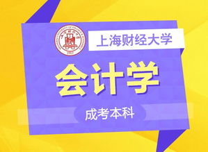上海成考择校指南 名校聚集，专业齐全，助力职场人轻松提升学历